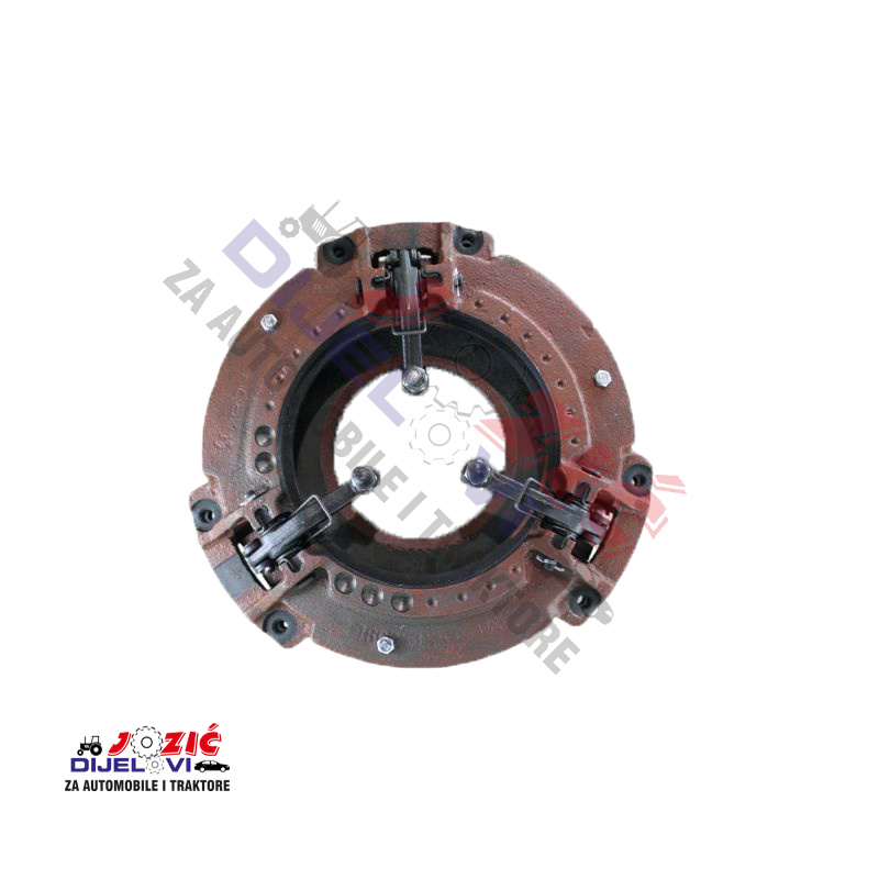 Daisy on the Ohoopee